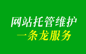 專業(yè)的網(wǎng)站托管服務(wù)提供商